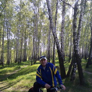  ,   , 49 ,  