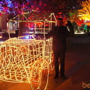 ���������� ������, ���� ������� ����, 43 ����, ������������ ��� ������