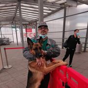 ���������� ���������, ���� ������� ������, 51 ���, ������������ ��� ������, ����� � ���������, c�������� ���������, ���������