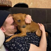 ���������� ������, ���� ����� ����������, 24 ����, ������������ ��� ������, ����� � ���������