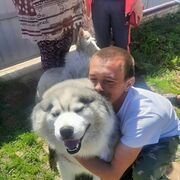 ���������� ������ ��������, ���� ������� ������, 35 ���, ������������ ��� ������, ����� � ���������, c�������� ���������