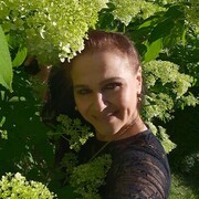  ,   , 49 ,     