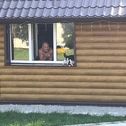  ,   , 40 ,   c 