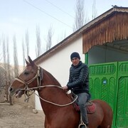 ���������� ������, ���� ������� ������, 30 ���, ������������ ��� ������, ����� � ���������