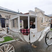 ���������� ������, ���� ������� ������, 45 ���, ������������ ��� ������, ����� � ���������, c�������� ���������, ���������