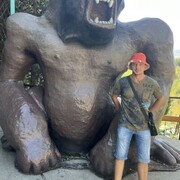 ���������� �����, ���� ������� ������, 31 ���, ������������ 