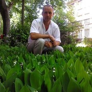 ���������� �����, ���� ������� ������, 61 ���, ������������ ��� c�������� ���������