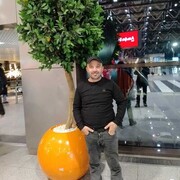 ���������� ���������, ���� ������� �����, 40 ���, ������������ ��� ������, ����� � ���������, c�������� ���������, ���������