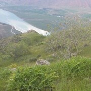 ���������� ������������, ���� ������� ��������� �, 40 ���, ������������ ��� ������, ����� � ���������, ���������