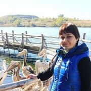  ,   , 40 ,   ,   