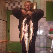  ,  ivan, 46