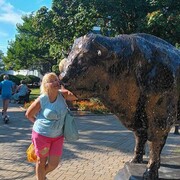 ���������� �����������, ���� ������� ����, 67 ���, ������������ ��� ������, ����� � ���������