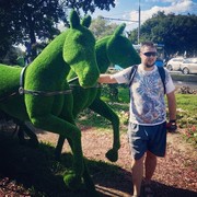 ���������� ������, ���� ������� ���������, 45 ���, ������������ ��� ����� � ���������, c�������� ���������