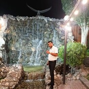 ���������� �����, ���� ������� VASO, 31 ���, ������������ ��� c�������� ���������