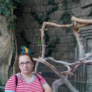  ,   , 44 ,   ,   , c 