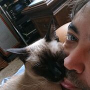 ���������� ������, ���� ������� �������, 46 ���, ������������ ��� ������, ����� � ���������, c�������� ���������, ���������