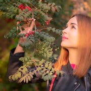 ���������� ����, ���� ������� ������, 41 ���, ������������ ��� ������, ����� � ���������, c�������� ���������, ���������