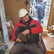  -,   , 45 ,   ,   