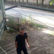 ���������� �������, ���� ������� ������, 43 ����, ������������ ��� ������, ����� � ���������