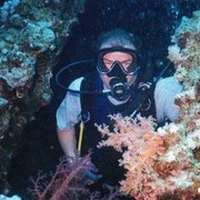  ,   , 60 ,   ,   , c 