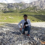  ,   Fate, 34 ,   