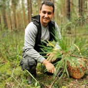 ���������� �����������, ���� ������� �����, 36 ���, ������������ ��� ������, ����� � ���������