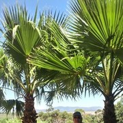  ,   , 67 ,     , c 
