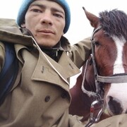 ���������� �������, ���� ������� �����, 29 ���, ������������ ��� ����� � ���������, c�������� ���������, ���������