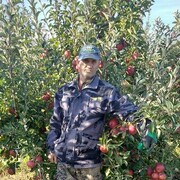 ���������� ����, ���� ������� �����, 48 ���, ������������ ��� ������, ����� � ���������, c�������� ���������, ���������