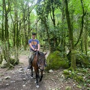 ���������� �����������, ���� ������� ����, 41 ���, ������������ ��� ������, ����� � ���������, c�������� ���������, ���������