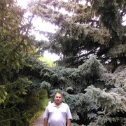 ���������� ������, ���� ������� ���������, 52 ����, ������������ ��� ������, ����� � ���������, c�������� ���������