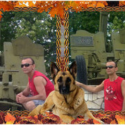  ,   Nigth Hunter, 52 ,   