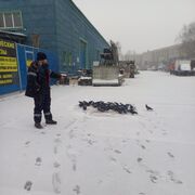 ���������� �����-���������, ���� ������� �����, 26 ���, ������������ ��� ������, ����� � ���������