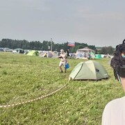 ���������� �����������, ���� ������� ���������, 36 ���, ������������ ��� ����� � ���������, c�������� ���������