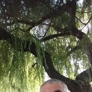 ���������� ����, ���� ������� ���, 54 ����, ������������ ��� ������, ����� � ���������, c�������� ���������