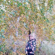  ,   , 73 ,   ,   , c 