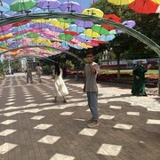 ���������� ������, ���� ����� ����, 25 ���, ������������ ��� ������, ����� � ���������