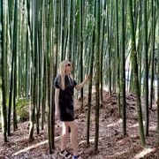 ���������� ���������, ���� ������� ������, 34 ����, ������������ ��� ������, ����� � ���������, c�������� ���������