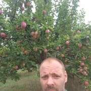 ���������� ����, ���� ������� �����, 44 ����, ������������ ��� ������, ����� � ���������, c�������� ���������, ���������