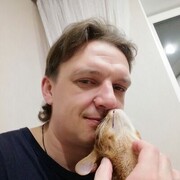 ���������� �����, ���� ������� �������, 44 ����, ������������ ��� ����� � ���������, c�������� ���������