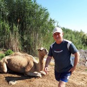  Tirat Karmel,  , 58
