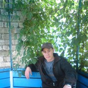 ���������� ���������, ���� ������� ���������, 37 ���, ������������ ��� ����� � ���������, c�������� ���������