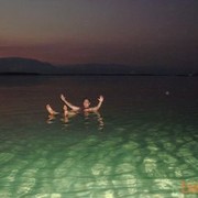 ���������� ���������, ���� ������� ���������, 46 ���, ������������ ��� ������, ����� � ���������, c�������� ���������