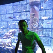 ���������� �������, ���� ������� ������, 41 ���, ������������ 