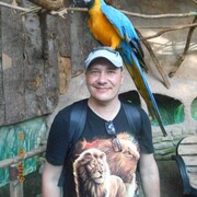 ���������� �������, ���� ������� �����, 45 ���, ������������ ��� ����� � ���������, c�������� ���������