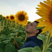 ���������� ������, ���� ������� ������, 29 ���, ������������ ��� ������, ����� � ���������