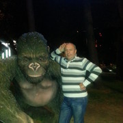  ,   MAXO, 65 ,  