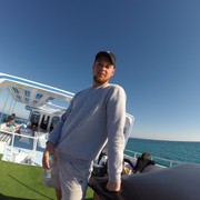  ,   Gvmer, 31 ,   ,   , c , 
