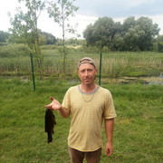 ���������� ������, ���� ������� �������, 41 ���, ������������ ��� ������, ����� � ���������, c�������� ���������