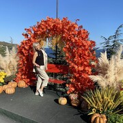 ���������� �����������, ���� ������� ������, 52 ����, ������������ ��� ����� � ���������, c�������� ���������, ���������